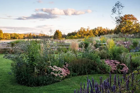 لاندسكيب حدائق