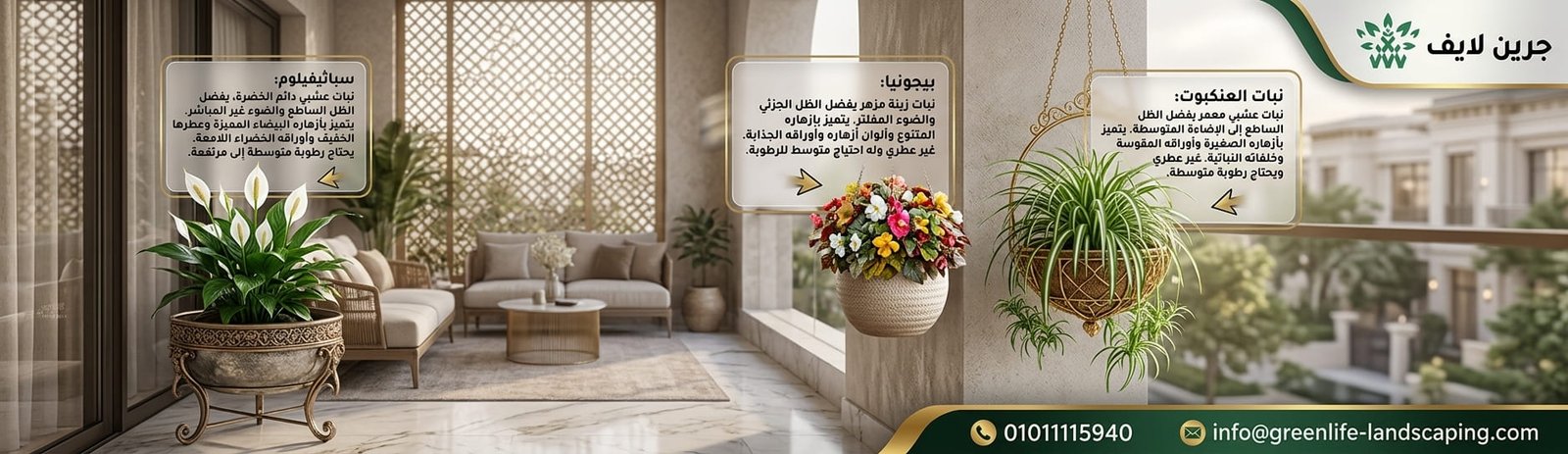 أفضل شركة توريد زهور ونباتات ظل