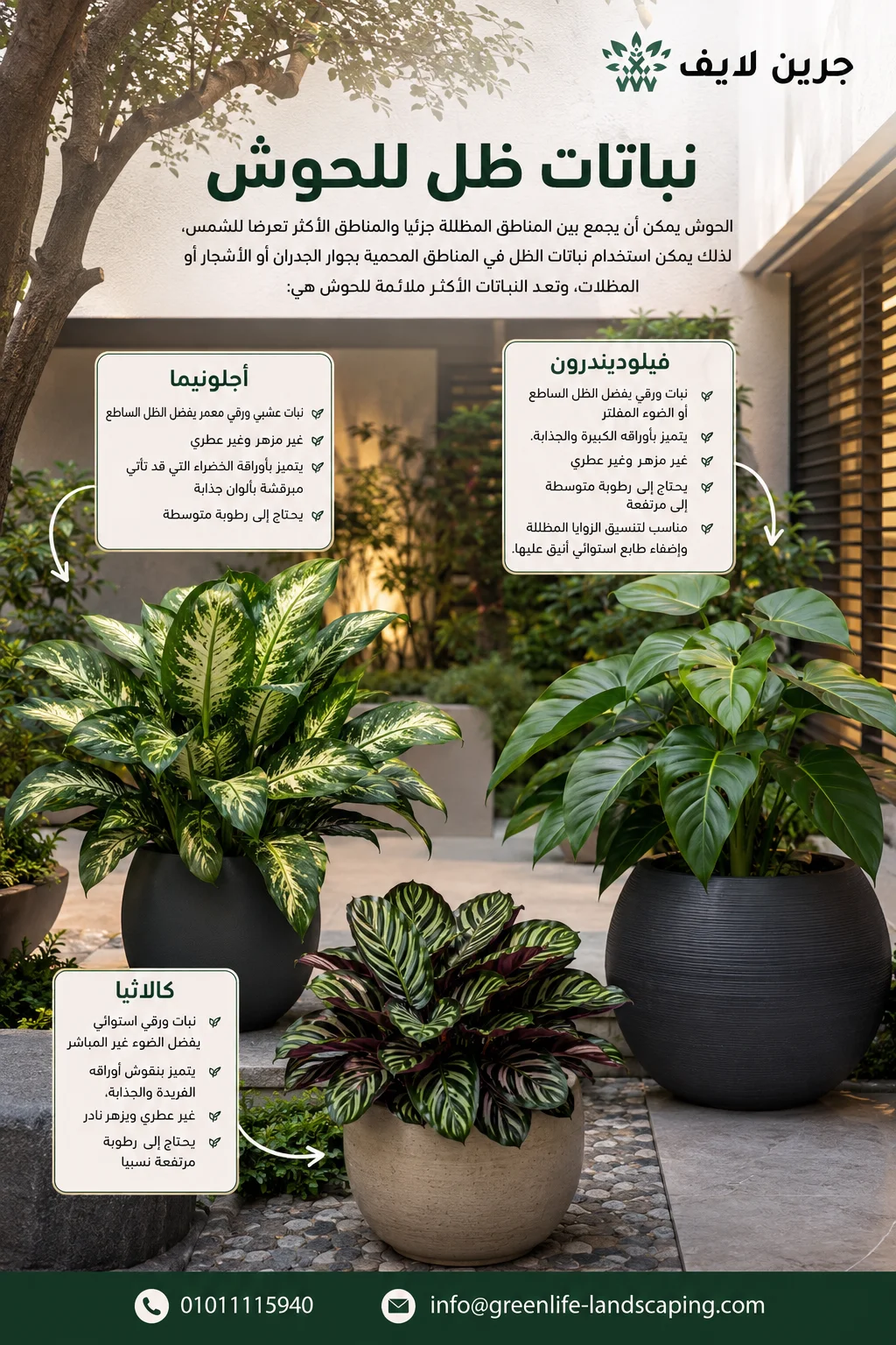 أفضل شركة توريد شتلات في مصر